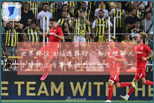 世界杯投注站选择时，如何理解大小球玩法与赛事动态的结合？
