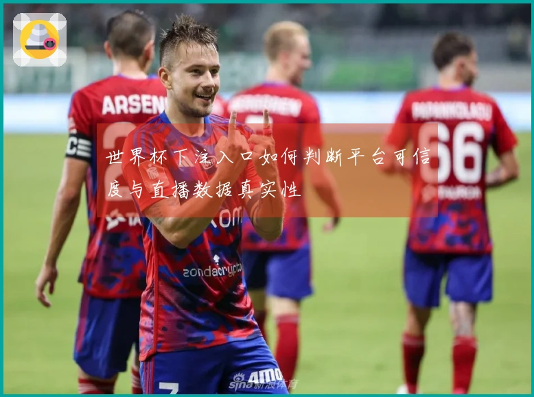 世界杯下注入口如何判断平台可信度与直播数据真实性