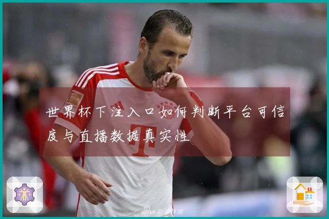 世界杯下注入口如何判断平台可信度与直播数据真实性