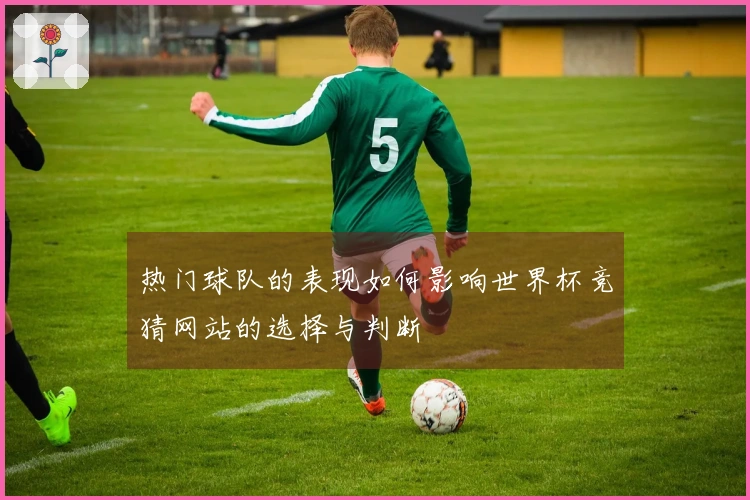热门球队的表现如何影响世界杯竞猜网站的选择与判断